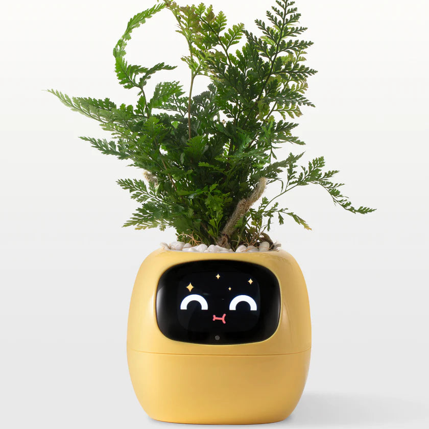 🌿 Ivy – La plante intelligente qui vous parle… 💚