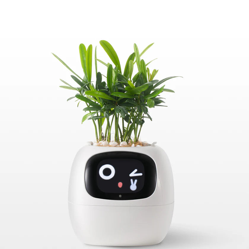 🌿 Ivy – La plante intelligente qui vous parle… 💚