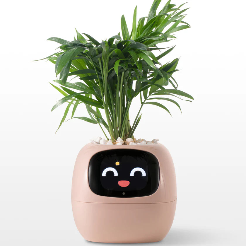 🌿 Ivy – La plante intelligente qui vous parle… 💚