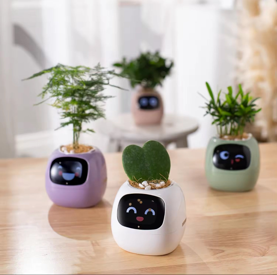 🌿 Ivy – La plante intelligente qui vous parle… 💚